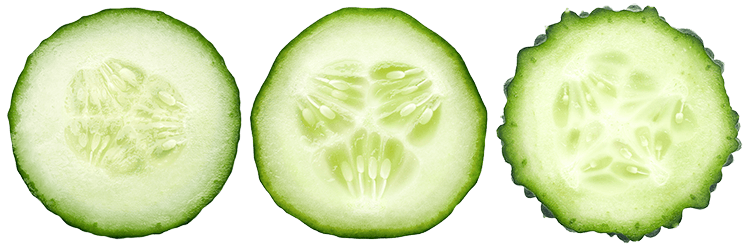 Heirloom cucumbers — source of the Q-Actin™ extract